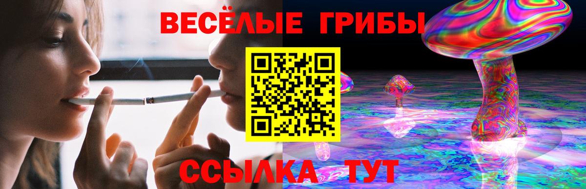 Галлюциногенные грибы Psilocybine cubensis  Вход с VPN  Псилоцибиновые грибы Psilocybe  Красноуфимск 