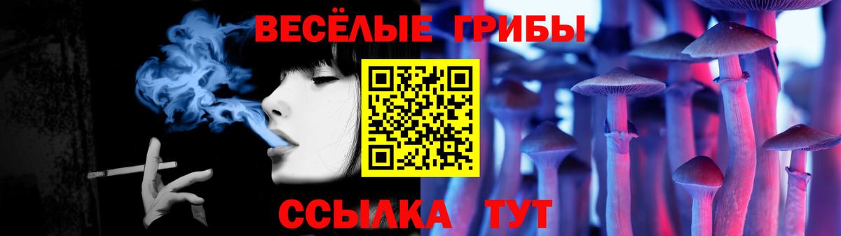 Галлюциногенные грибы GOLDEN TEACHER Красноуфимск